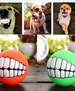 כדור לעיסה עם שיניים לכלבים