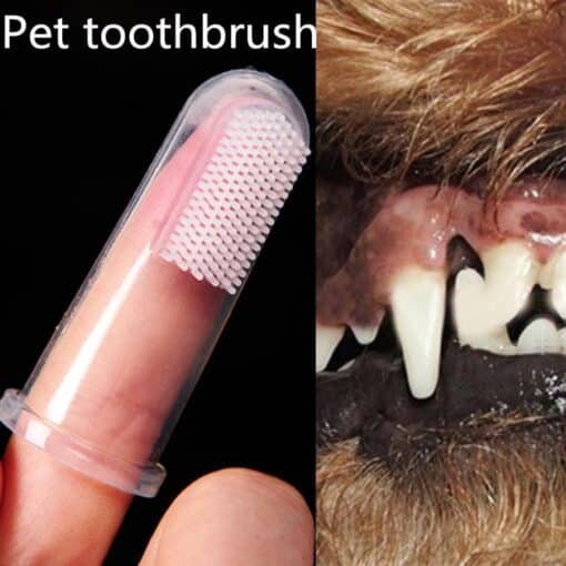 מברשת שיניים אצבע לכלבים וחתולים