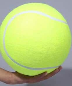 כדור טניס ענק למשחק עם הכלב